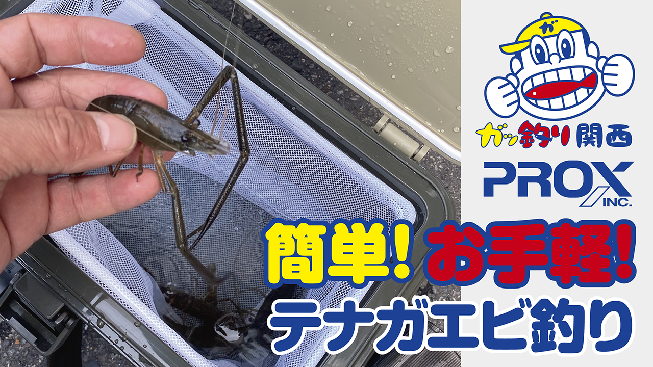 ライン